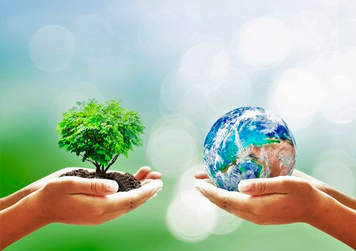 Review Of Mainstreaming Environmental Sustainability Across Organizations  Of The United Nations System (Jiu/Rep/2020/8) | Dependencia Común De  Inspección Del Sistema De Las Naciones Unidas
